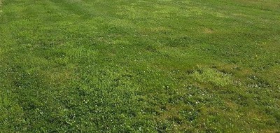 Terrain seul à Sainte-Opportune en Orne (61) de 1000 m² à vendre au prix de 12000€