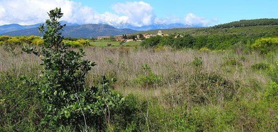 Terrain seul à Thuir en Pyrénées-Orientales (66) de 365 m² à vendre au prix de 122000€