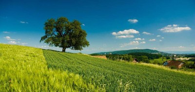 Terrain seul à Mazières-de-Touraine en Indre-et-Loire (37) de 820 m² à vendre au prix de 72000€