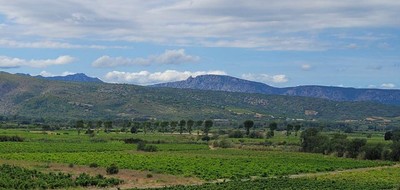 Terrain seul à Montner en Pyrénées-Orientales (66) de 616 m² à vendre au prix de 88000€