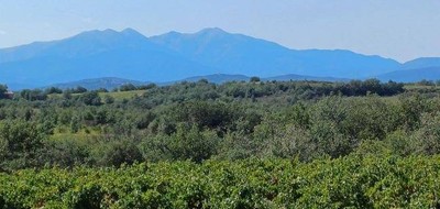 Terrain seul à Tresserre en Pyrénées-Orientales (66) de 532 m² à vendre au prix de 144900€