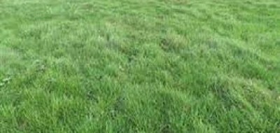 Terrain seul à Champmotteux en Essonne (91) de 413 m² à vendre au prix de 91000€