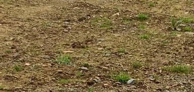 Terrain seul à La Plaine-sur-Mer en Loire-Atlantique (44) de 420 m² à vendre au prix de 125500€