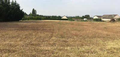 Terrain seul à Amboise en Indre-et-Loire (37) de 650 m² à vendre au prix de 78000€