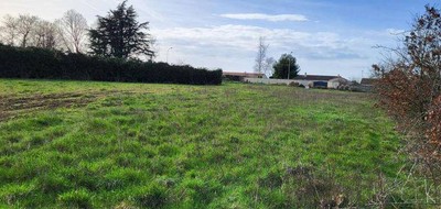 Terrain seul à Cissé en Vienne (86) de 4200 m² à vendre au prix de 116000€