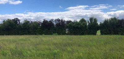 Terrain seul à Cinq-Mars-la-Pile en Indre-et-Loire (37) de 1000 m² à vendre au prix de 75000€