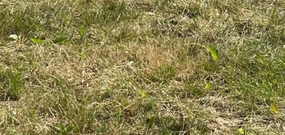 Terrain seul à Chaumes-en-Retz en Loire-Atlantique (44) de 430 m² à vendre au prix de 85000€