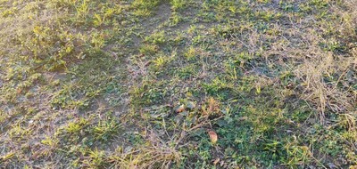 Terrain seul à La Haie-Fouassière en Loire-Atlantique (44) de 348 m² à vendre au prix de 145000€