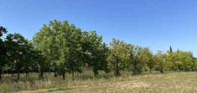 Terrain seul à Villegailhenc en Aude (11) de 803 m² à vendre au prix de 91000€