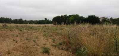 Terrain seul à Mondonville en Haute-Garonne (31) de 587 m² à vendre au prix de 139000€