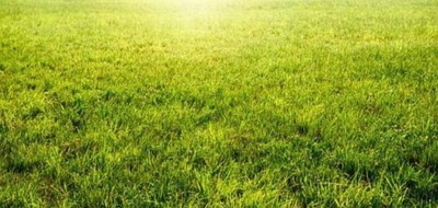 Terrain seul à Mettray en Indre-et-Loire (37) de 362 m² à vendre au prix de 88000€