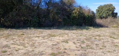 Terrain seul à Sainte-Croix-de-Quintillargues en Hérault (34) de 617 m² à vendre au prix de 229000€