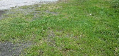 Terrain seul à Celles en Charente-Maritime (17) de 1000 m² à vendre au prix de 18000€