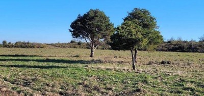Terrain seul à Pollestres en Pyrénées-Orientales (66) de 1104 m² à vendre au prix de 240000€