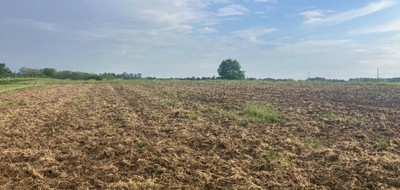 Terrain seul à Saint-Sève en Gironde (33) de 2200 m² à vendre au prix de 55000€