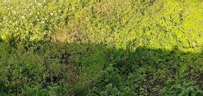 Terrain seul à La Plaine-sur-Mer en Loire-Atlantique (44) de 632 m² à vendre au prix de 127350€