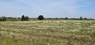 Terrain seul à Rosay en Seine-Maritime (76) de 650 m² à vendre au prix de 67000€