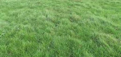Terrain seul à Chaumes-en-Brie en Seine-et-Marne (77) de 1500 m² à vendre au prix de 108000€