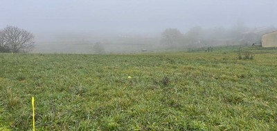 Terrain seul à Saint-André-du-Bois en Gironde (33) de 803 m² à vendre au prix de 49500€