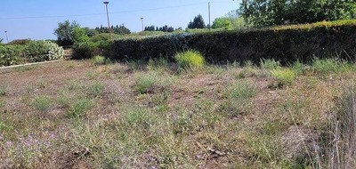 Terrain seul à Millas en Pyrénées-Orientales (66) de 687 m² à vendre au prix de 139000€