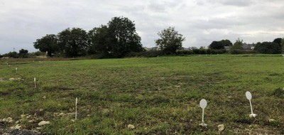 Terrain seul à Tiercé en Maine-et-Loire (49) de 500 m² à vendre au prix de 90000€