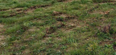 Terrain seul à Villeneuve-en-Retz en Loire-Atlantique (44) de 770 m² à vendre au prix de 106000€
