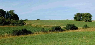 Terrain seul à Mosnes en Indre-et-Loire (37) de 1088 m² à vendre au prix de 56000€