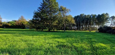 Terrain seul à Uzeste en Gironde (33) de 1600 m² à vendre au prix de 85000€