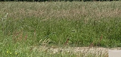 Terrain seul à Dompierre-sur-Mer en Charente-Maritime (17) de 500 m² à vendre au prix de 275000€