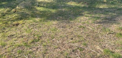 Terrain seul à Vexin-sur-Epte en Eure (27) de 1000 m² à vendre au prix de 83000€