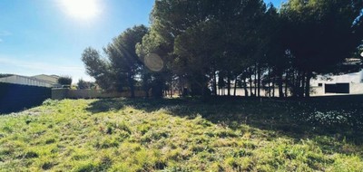 Terrain seul à Bouzigues en Hérault (34) de 370 m² à vendre au prix de 214000€