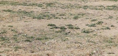 Terrain seul à Thuir en Pyrénées-Orientales (66) de 204 m² à vendre au prix de 113000€