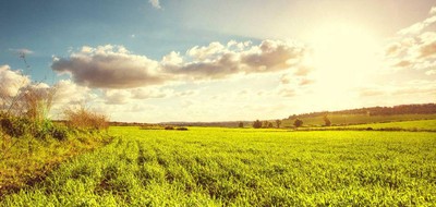 Terrain seul à Mettray en Indre-et-Loire (37) de 500 m² à vendre au prix de 130000€