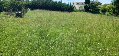 Terrain seul à Pugnac en Gironde (33) de 1500 m² à vendre au prix de 92000€