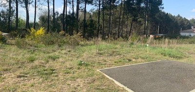 Terrain seul à Pissos en Landes (40) de 690 m² à vendre au prix de 99000€