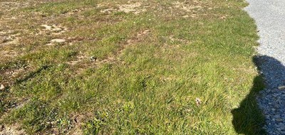 Terrain seul à Saint-Lyphard en Loire-Atlantique (44) de 448 m² à vendre au prix de 85900€