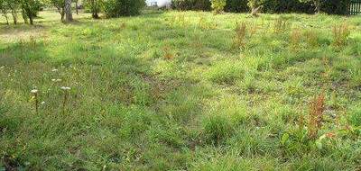 Terrain seul à Herbignac en Loire-Atlantique (44) de 600 m² à vendre au prix de 62500€