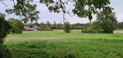 Terrain seul à Ligré en Indre-et-Loire (37) de 950 m² à vendre au prix de 31000€