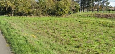 Terrain seul à Fay-aux-Loges en Loiret (45) de 533 m² à vendre au prix de 65500€