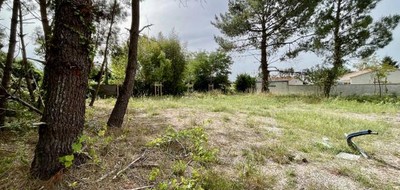 Terrain seul à Lacanau en Gironde (33) de 512 m² à vendre au prix de 412000€
