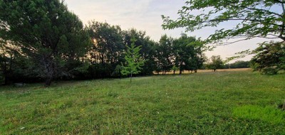 Terrain seul à Roquefort en Lot-et-Garonne (47) de 3250 m² à vendre au prix de 164000€