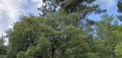 Terrain seul à Vielle-Saint-Girons en Landes (40) de 597 m² à vendre au prix de 96000€