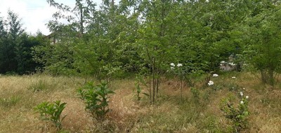 Terrain seul à Cissac-Médoc en Gironde (33) de 1100 m² à vendre au prix de 90000€