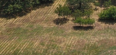 Terrain seul à Tauriac en Gironde (33) de 325 m² à vendre au prix de 54500€