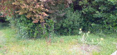 Terrain seul à Cissac-Médoc en Gironde (33) de 1400 m² à vendre au prix de 120000€