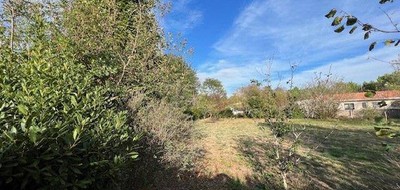 Terrain seul à Lège-Cap-Ferret en Gironde (33) de 1276 m² à vendre au prix de 470000€