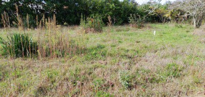 Terrain seul à Andernos-les-Bains en Gironde (33) de 500 m² à vendre au prix de 290000€