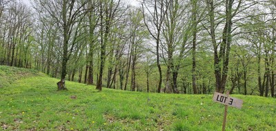 Terrain seul à Saint-Denis-Catus en Lot (46) de 904 m² à vendre au prix de 18893€