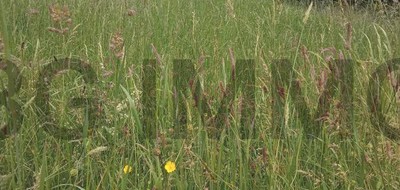 Terrain seul à Montlieu-la-Garde en Charente-Maritime (17) de 0 m² à vendre au prix de 55000€