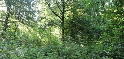 Terrain seul à Chérence en Val-d'Oise (95) de 816 m² à vendre au prix de 6000€